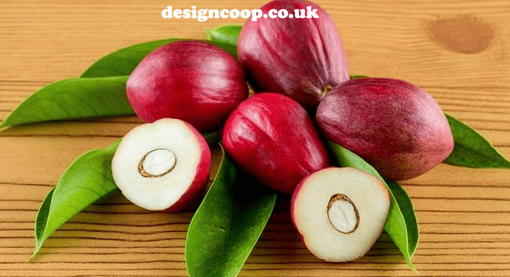designcoop.co