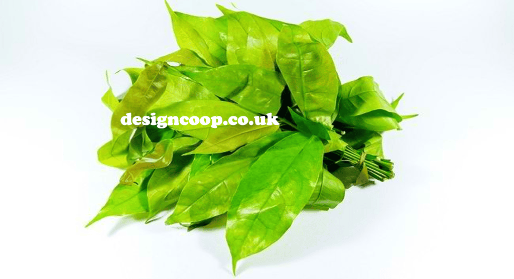 designcoop.co