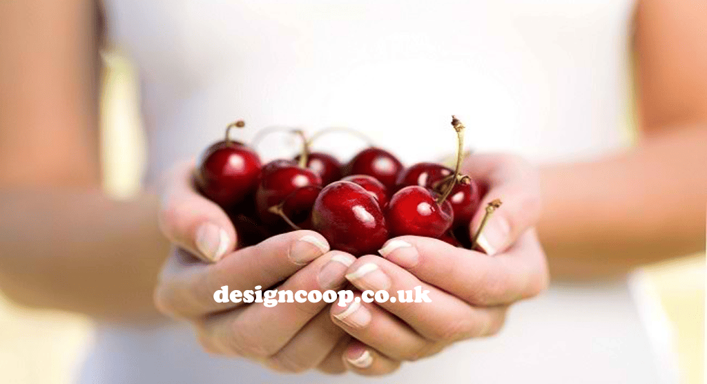 designcoop.co