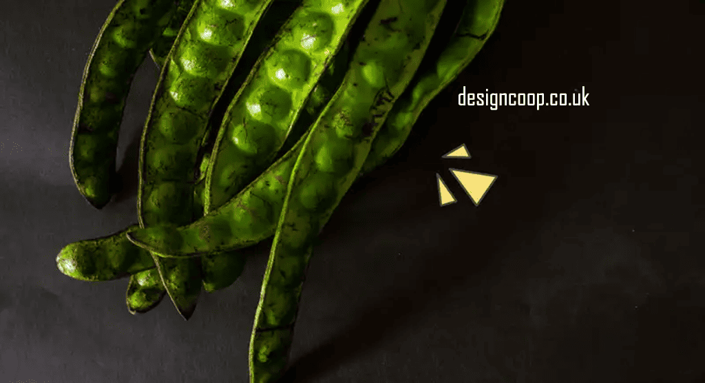 designcoop.co