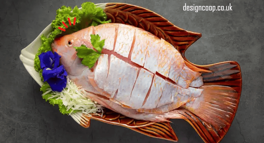 designcoop.co