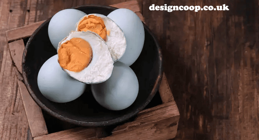 designcoop.co